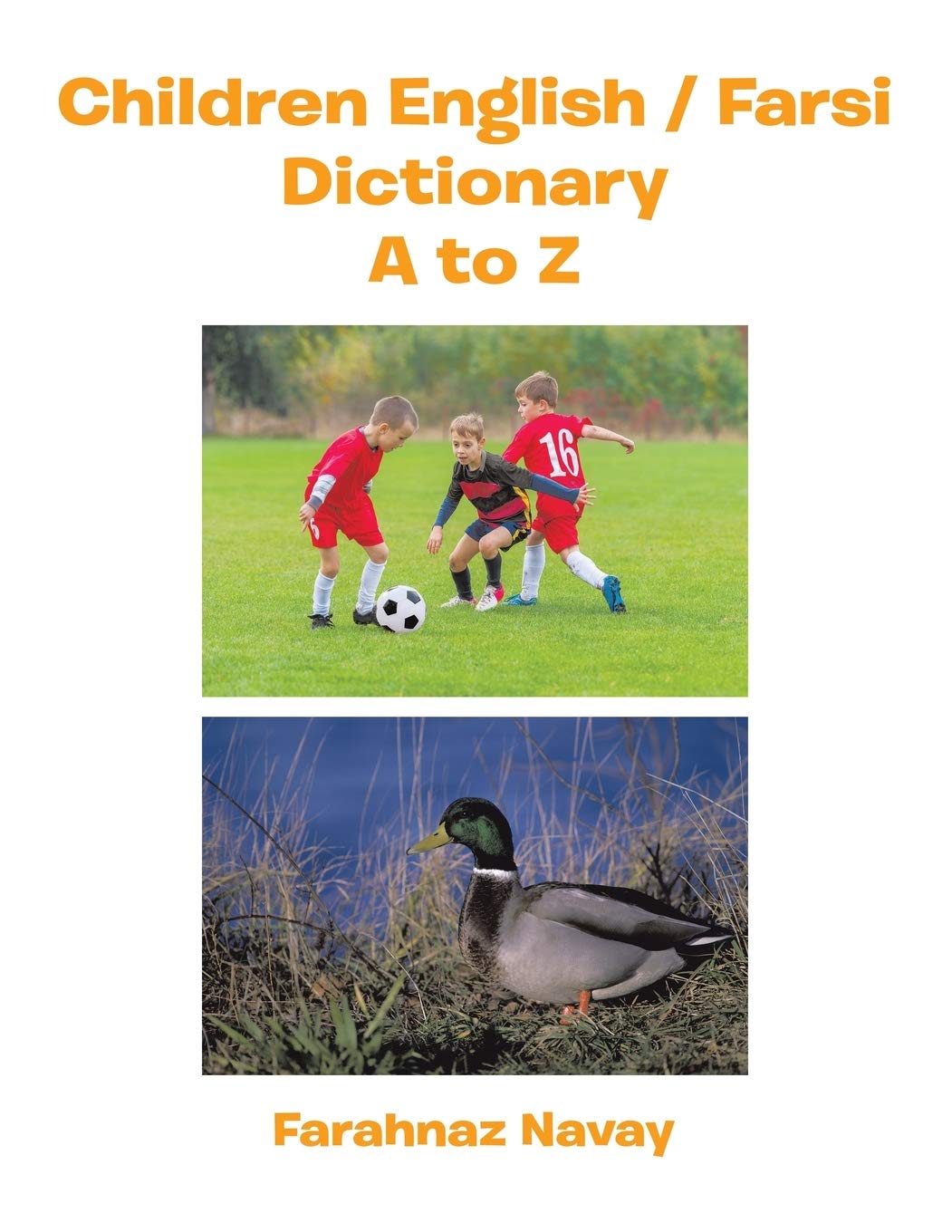 Children English / Farsi Dictionary A To Z,Used