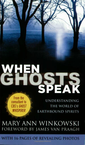 When Ghosts Speak: Understanding The World Of Earthbound Spirits,Used