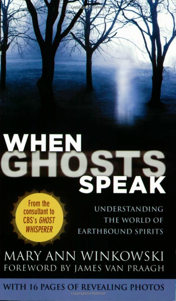 When Ghosts Speak: Understanding The World Of Earthbound Spirits,Used