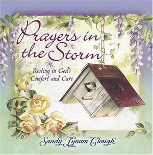 Prayers in the Storm: Resting in God's Comfort and Care,Used