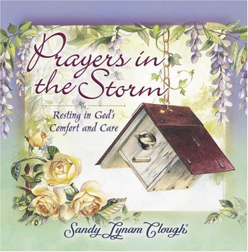 Prayers in the Storm: Resting in God's Comfort and Care,Used