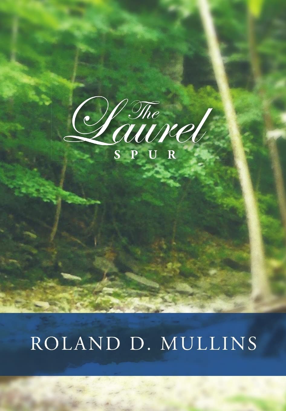 The Laurel Spur,Used