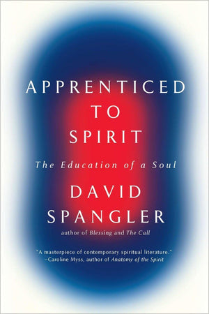 Apprenticed To Spirit: The Education of a Soul,Used