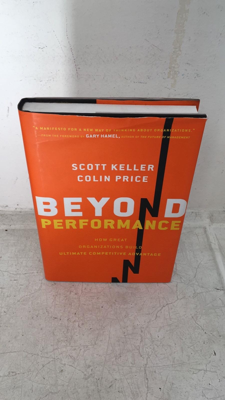 Beyond Performance: How Great Organizations Build Ultimate Competitive Advantage