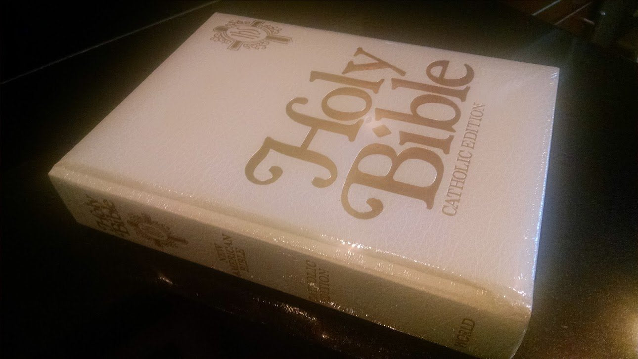 New American Bible for Catholics (Stock No Nab 23),New