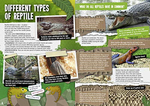 Reptiles (Reproduction),Used