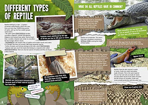 Reptiles (Reproduction),Used