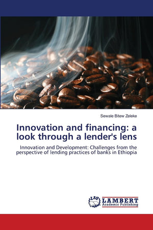 Innovation and financing: a look through a lender's lens: Innovation and Development: Challenges from the perspective of lending,Used