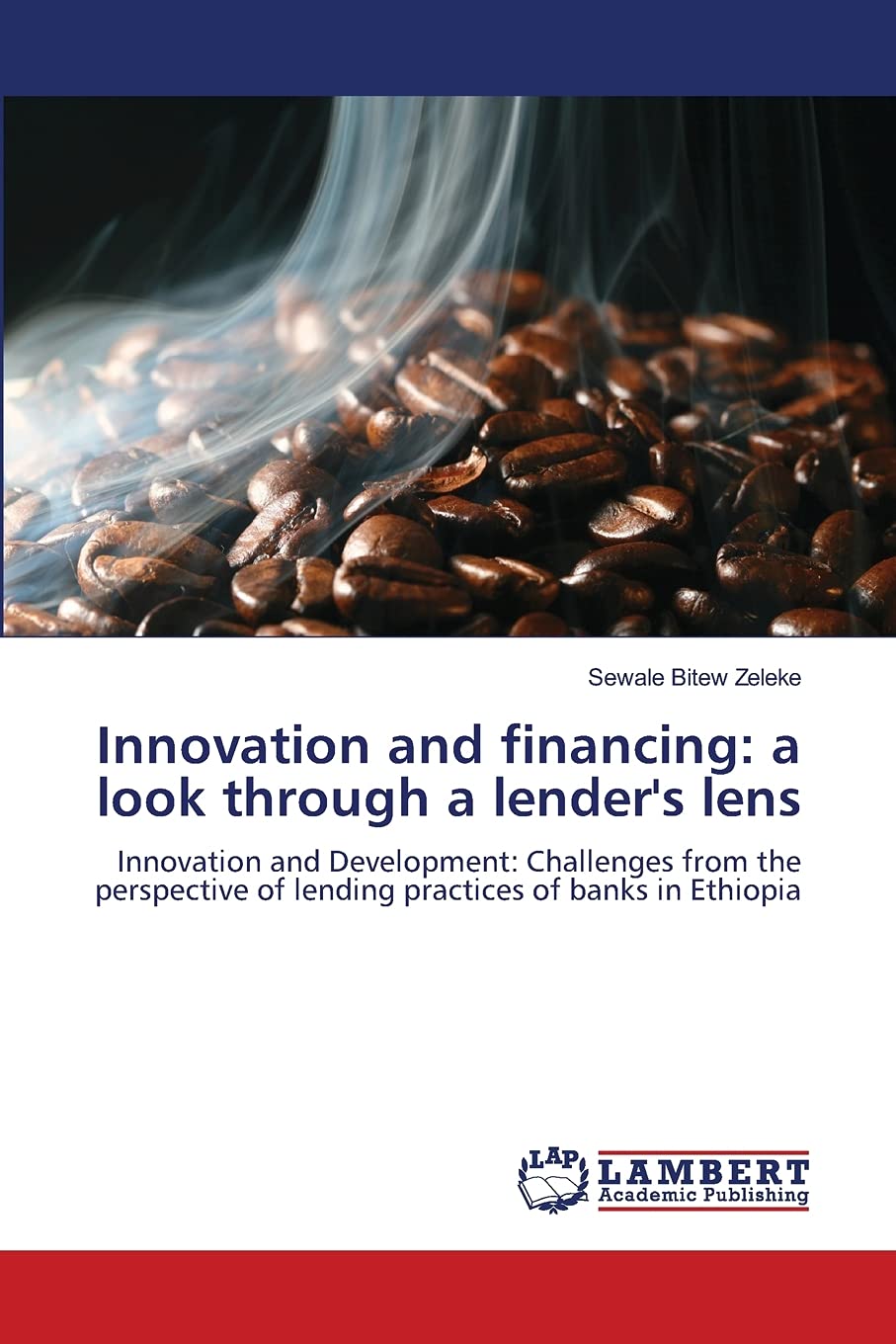 Innovation and financing: a look through a lender's lens: Innovation and Development: Challenges from the perspective of lending,Used