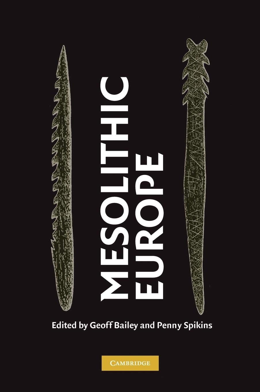 Mesolithic Europe,New