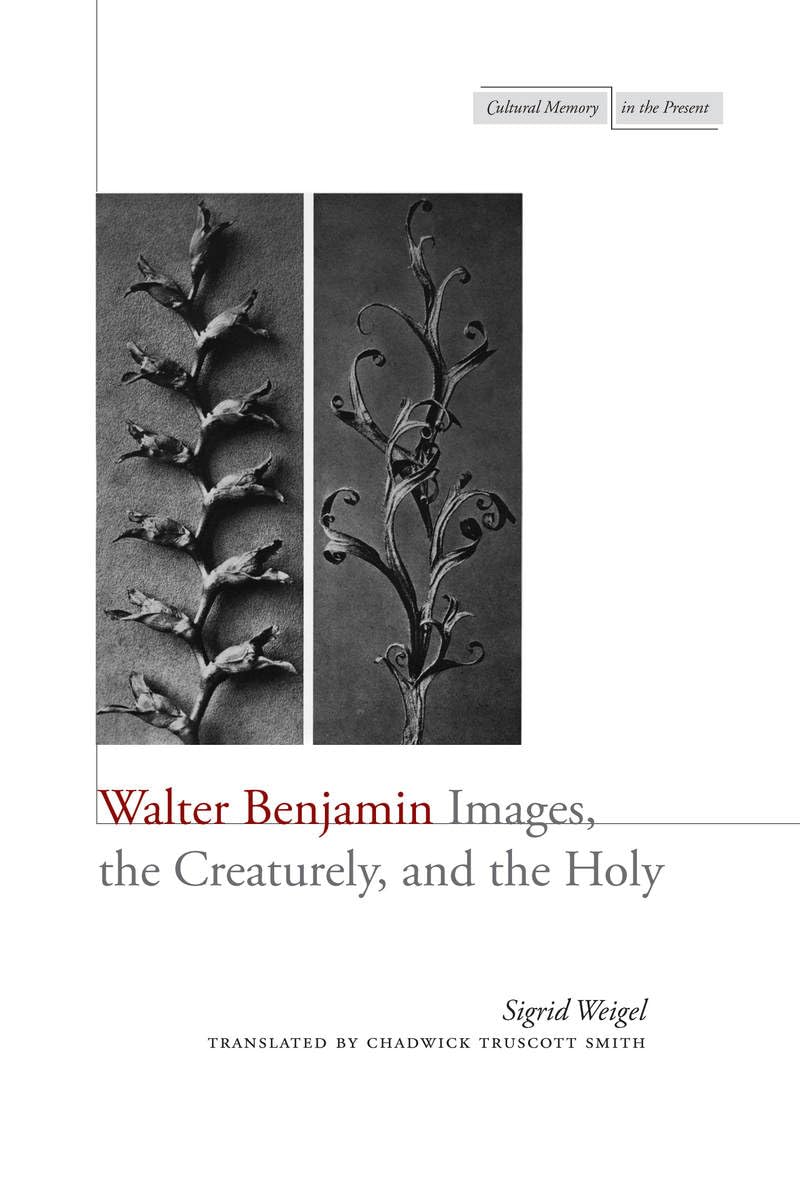 Walter Benjamin: Images, the Creaturely, and the Holy (Cultural Memory in the Present),Used