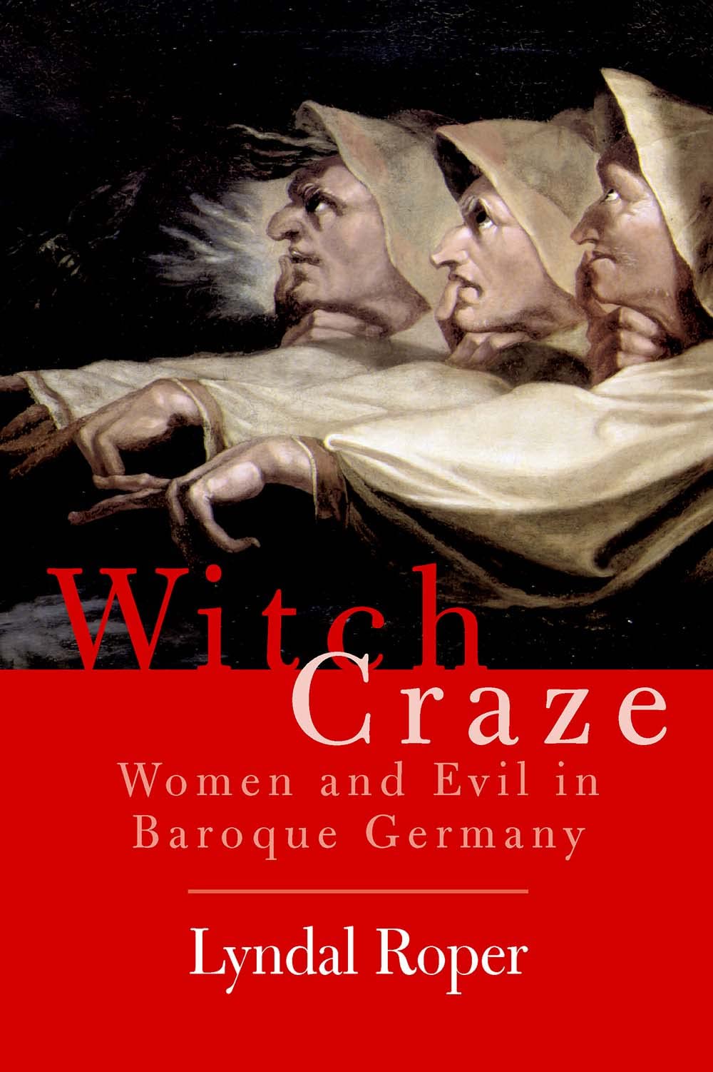 Witch Craze: Terror and Fantasy in Baroque Germany,Used