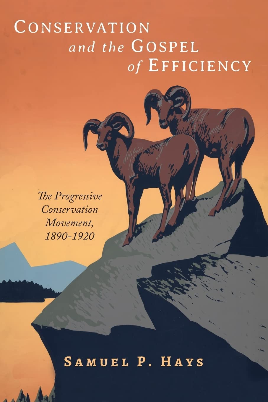 Conservation and the Gospel of Efficiency: The Progressive Conservation Movement, 18901920,Used