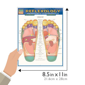 Reflexology QuickStudy Laminated Reference Guide (QuickStudy Academic),Used
