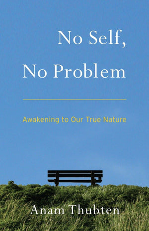 No Self, No Problem: Awakening to Our True Nature,Used