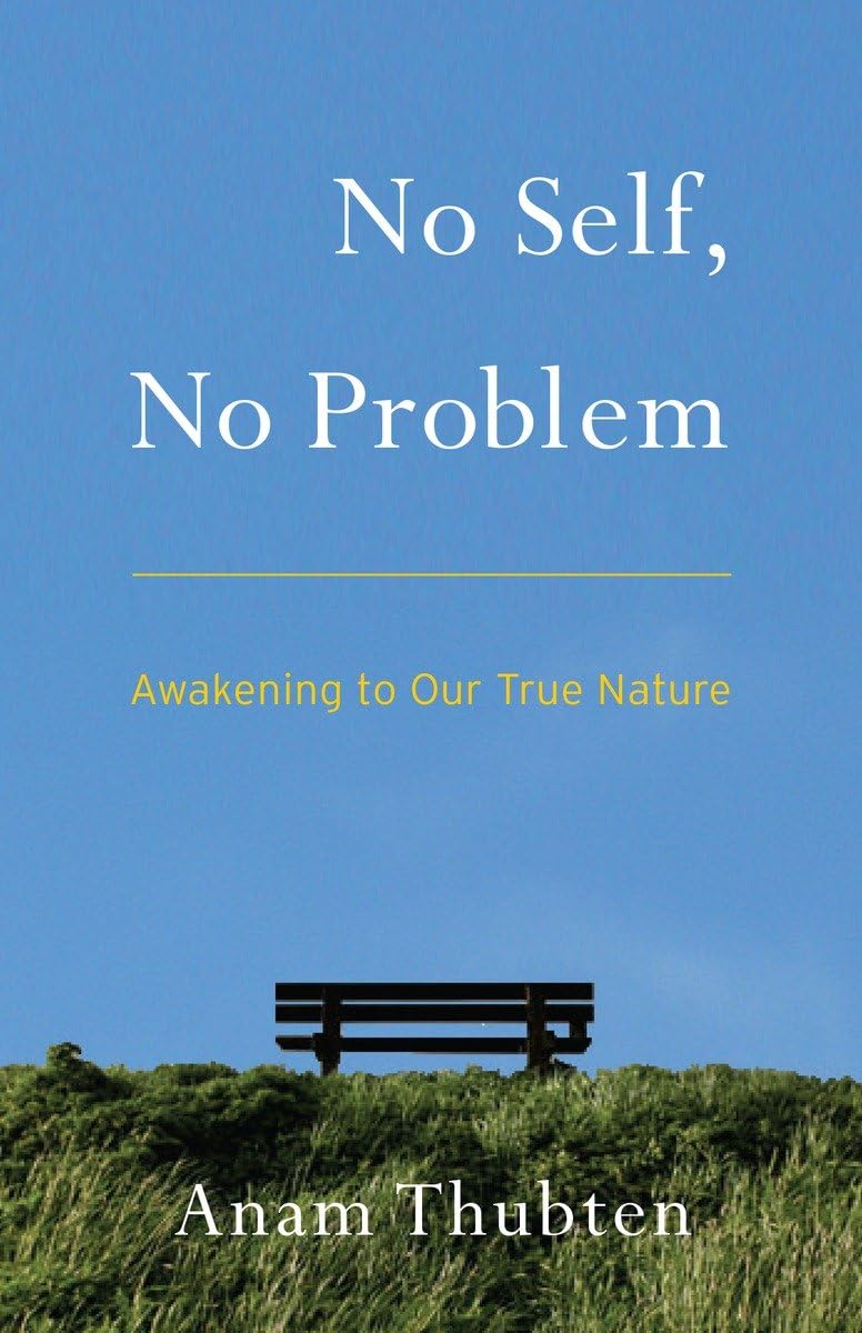 No Self, No Problem: Awakening to Our True Nature,Used