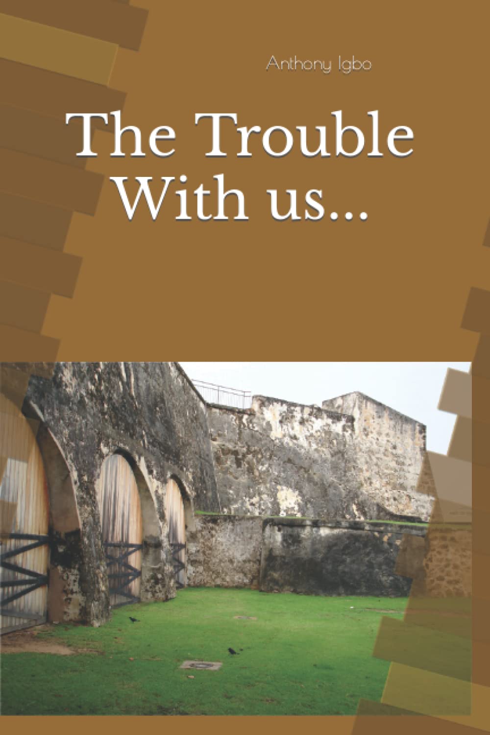 The Trouble With us...,Used