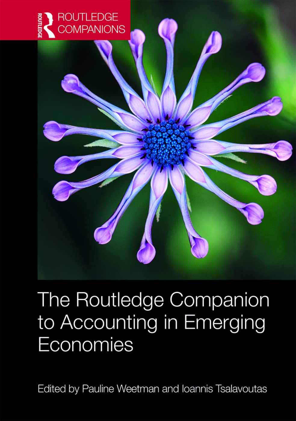The Routledge Companion to Accounting in Emerging Economies (Routledge Companions in Business, Management and Marketing),New