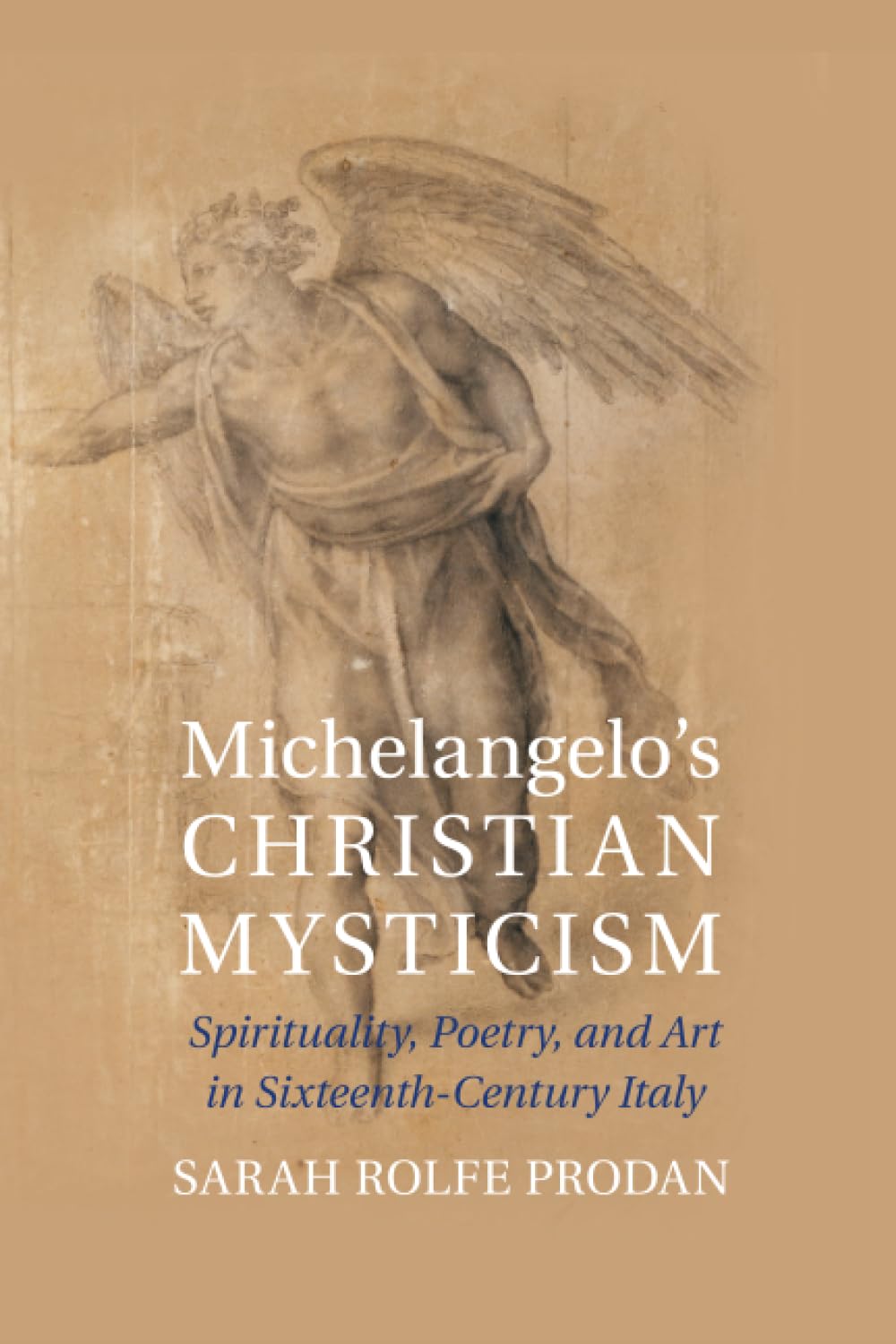 Michelangelo's Christian Mysticism: Spirituality, Poetry and Art in SixteenthCentury Italy,Used