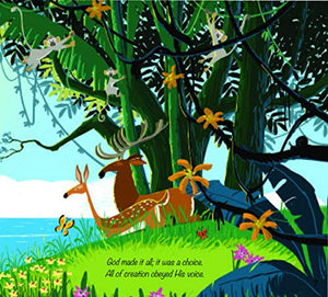 God's Great Plan Storybook Bible,Used