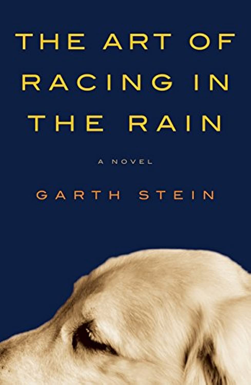 The Art of Racing in the Rain,Used