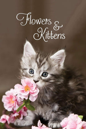 Flowers & Kittens: Password Book With Tabs to Protect Your Usernames, Passwords and Other Internet Login Information  Kitten and,Used