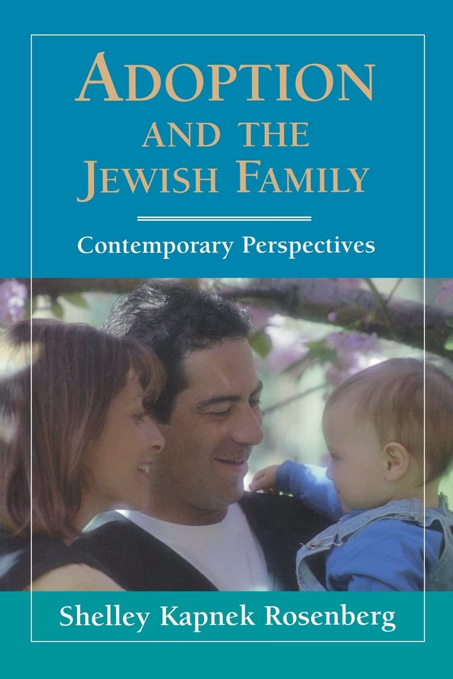Adoption And The Jewish Family: Contemporary Perspectives,New