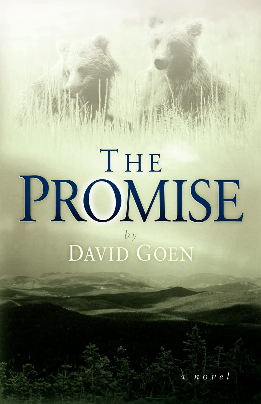 The Promise,Used