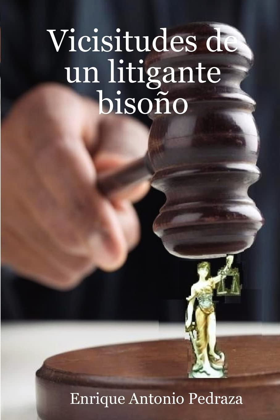 Vicisitudes De Un Litigante Bisoo (Spanish Edition),Used