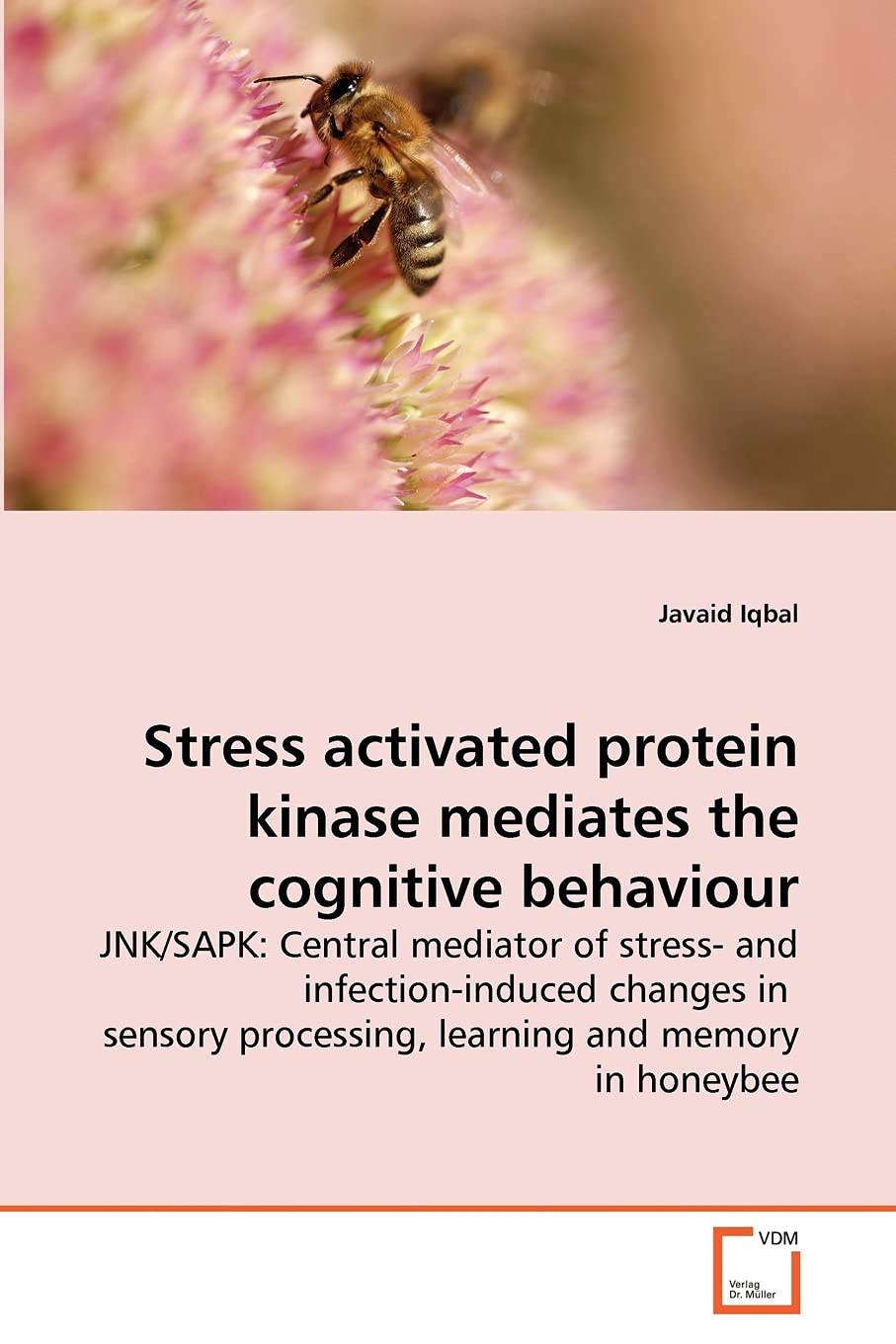 Stress activated protein kinase mediates the cognitive behaviour: JNK/SAPK: Central mediator of stress and infectioninduced ch,Used