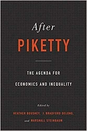 After Piketty: The Agenda for Economics and Inequality,Used