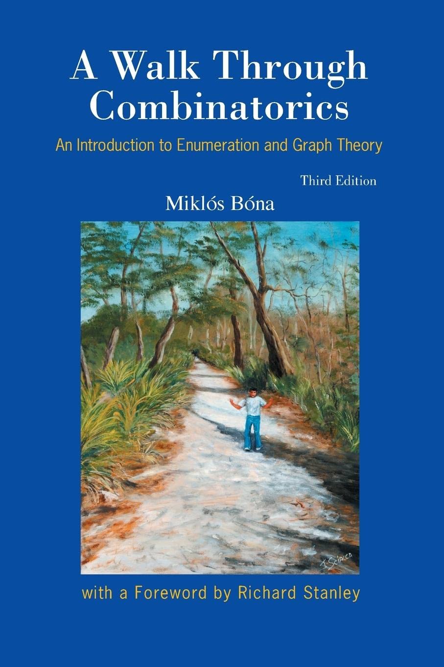 Walk Through Combinatorics, A: An Introduction To Enumeration And Graph Theory (3Rd Edition),Used