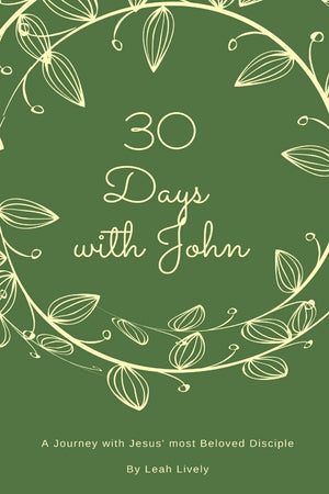30 Days with John: A Journey with Jesus' Most Beloved Disciple (30 Days Bible Studies),Used