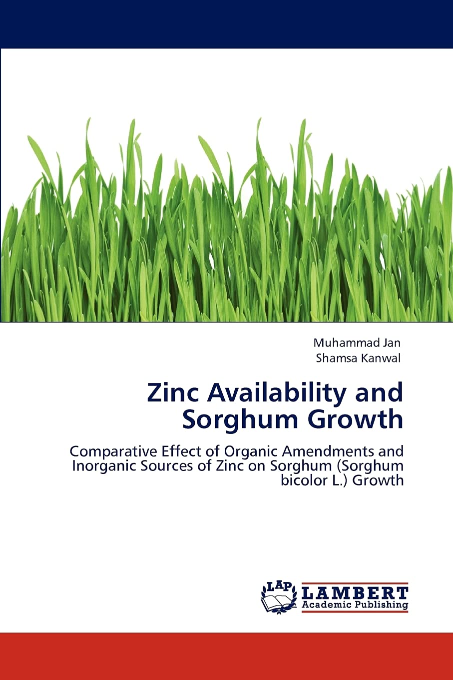 Zinc Availability and Sorghum Growth: Comparative Effect of Organic Amendments and Inorganic Sources of Zinc on Sorghum (Sorghum,Used