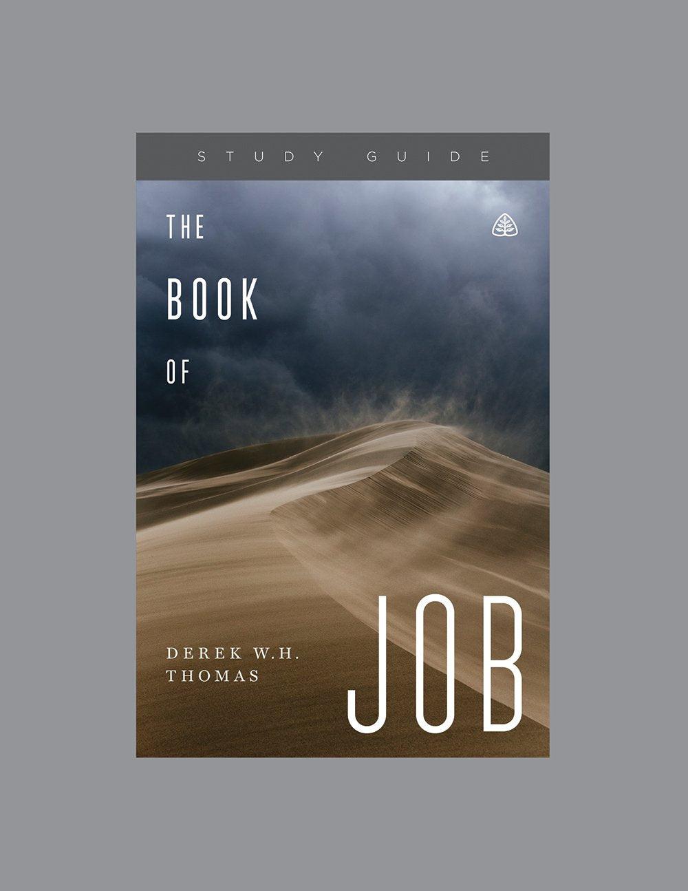 The Book Of Job, Teaching Series Study Guide