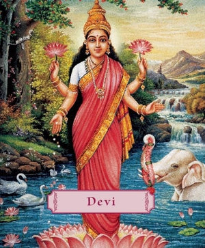Devi: The Divine Goddess (Minibook),Used