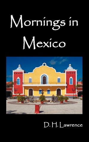 Mornings In Mexico,Used