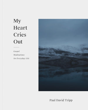 My Heart Cries Out: Gospel Meditations For Everyday Life