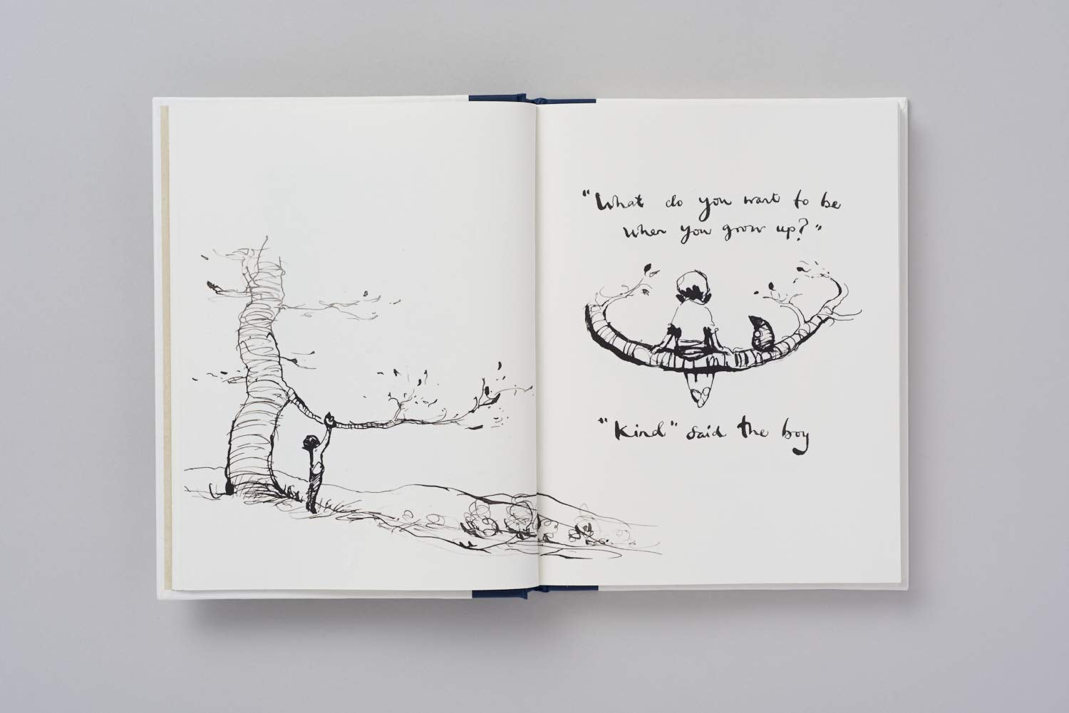 The Boy, The Mole, The Fox and The Horse /anglais,New