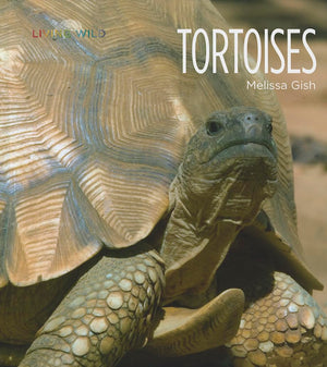 Tortoises (Living Wild),Used