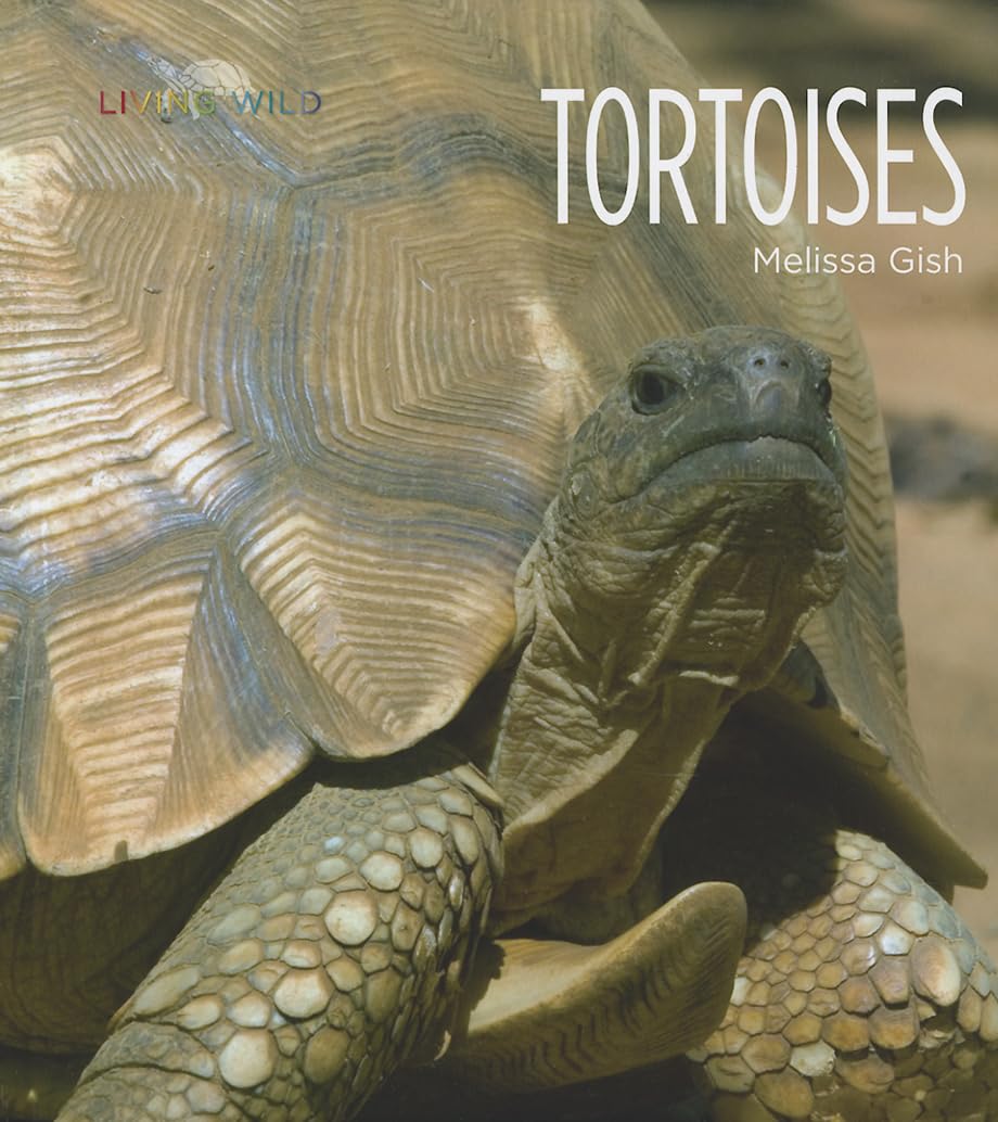 Tortoises (Living Wild),Used