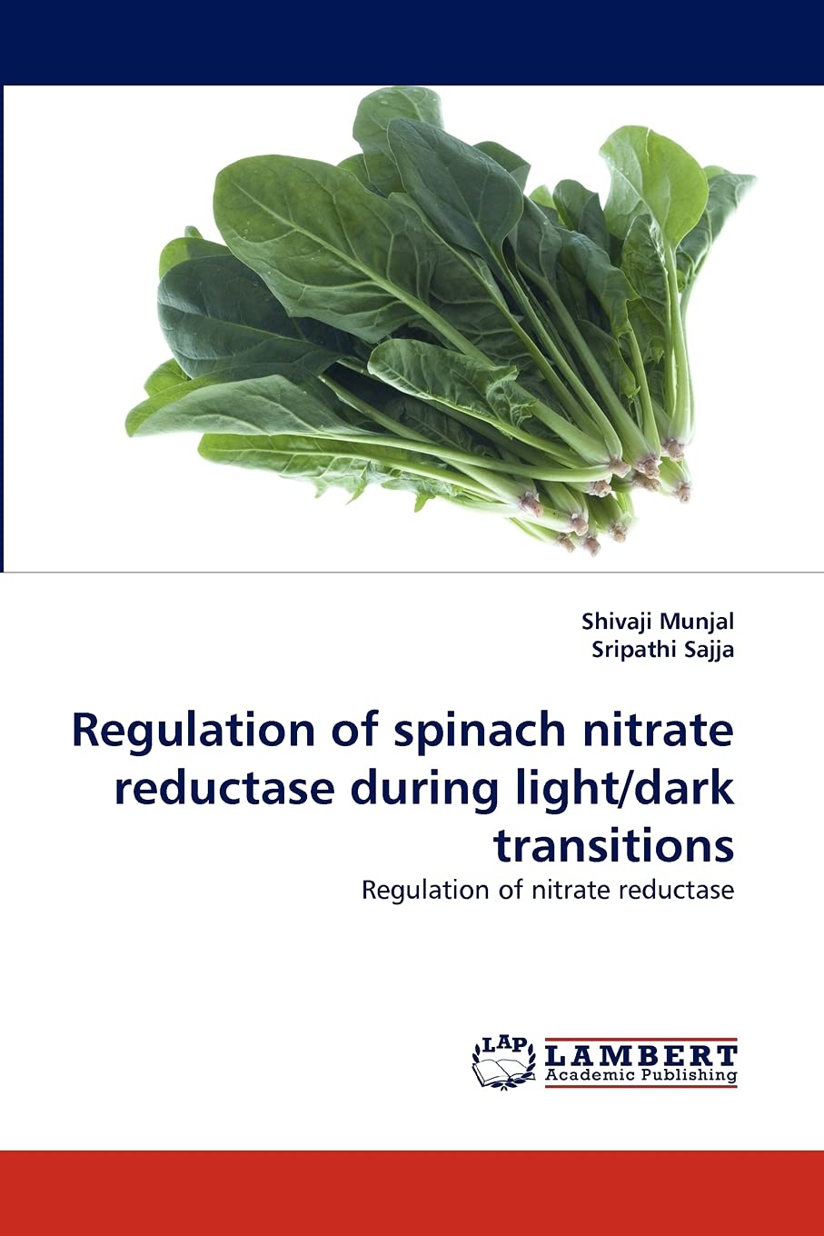 Regulation of spinach nitrate reductase during light/dark transitions: Regulation of nitrate reductase,Used