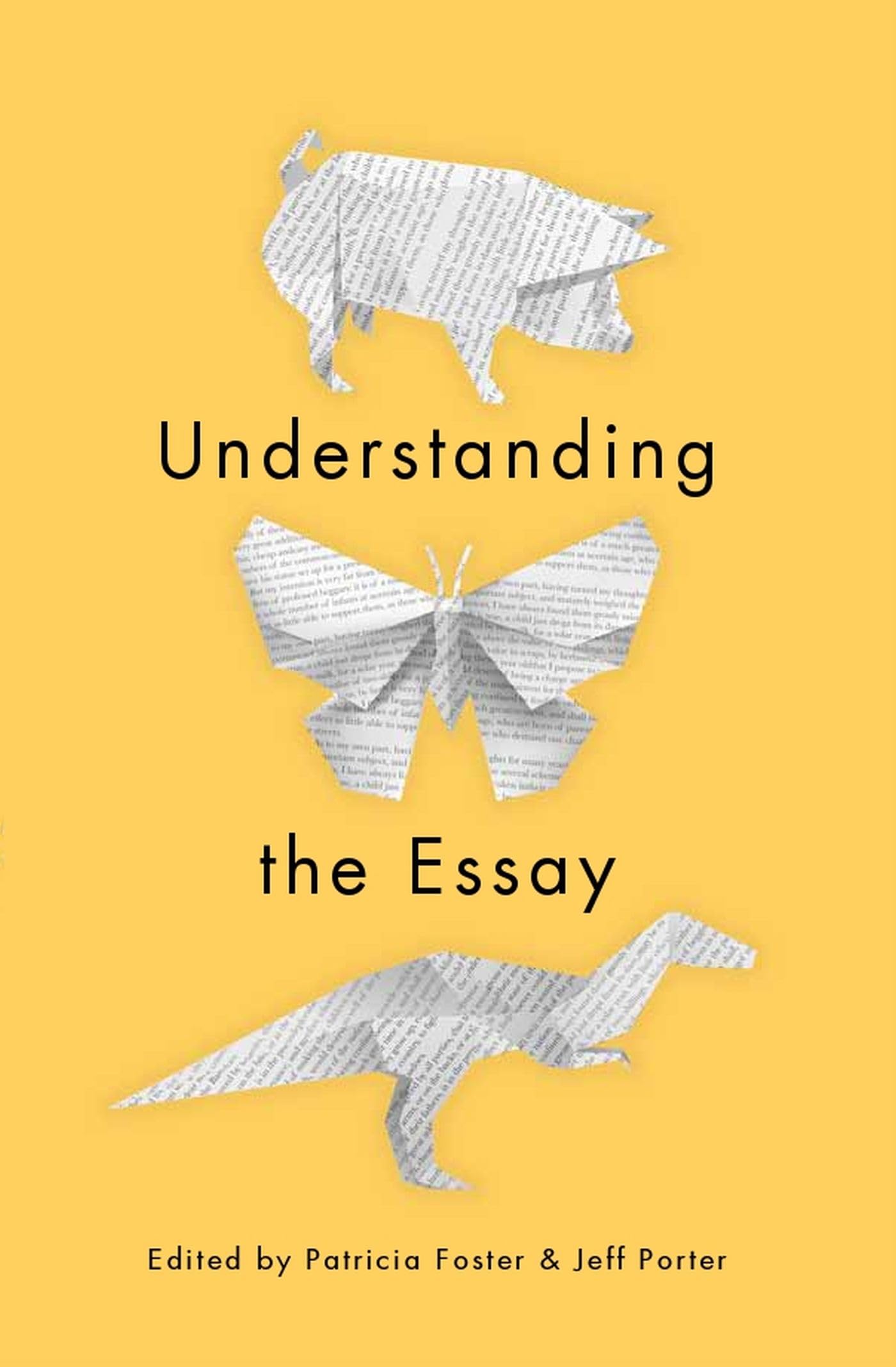Understanding the Essay,New