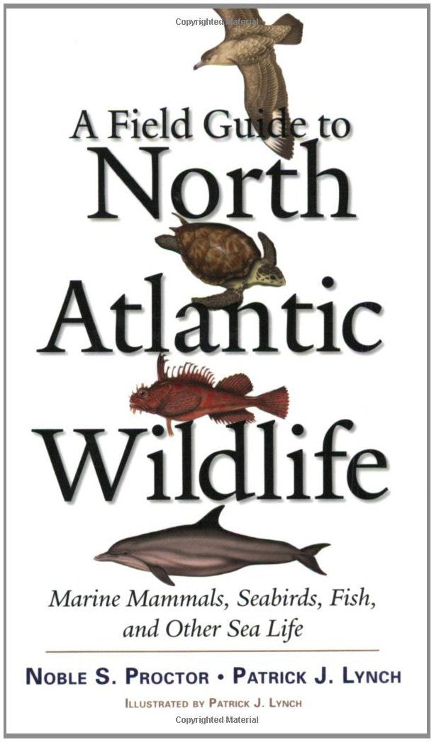 A Field Guide to North Atlantic Wildlife: Marine Mammals, Seabirds, Fish, and Other Sea Life,New