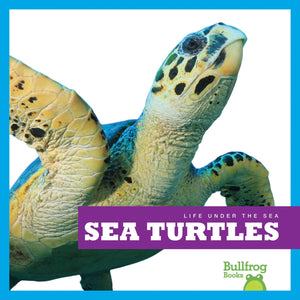 Sea Turtles (Bullfrog Books: Life Under the Sea),Used