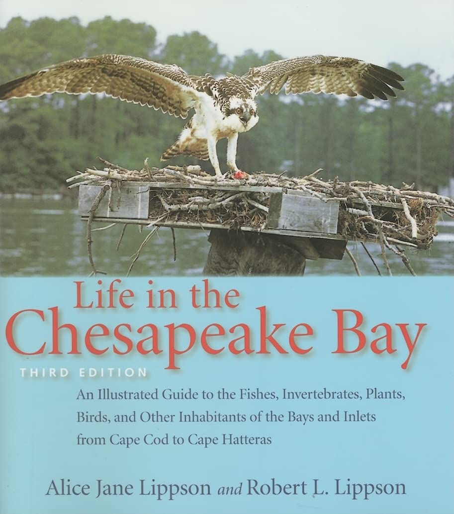 Life in the Chesapeake Bay,New