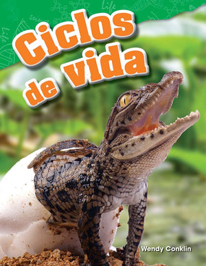 Ciclos de vida (Science: Informational Text) (Spanish Edition),Used