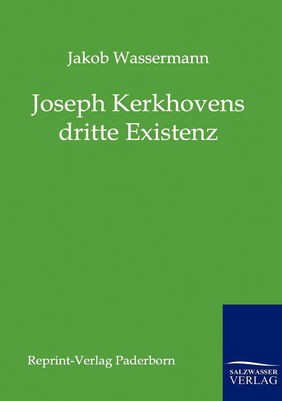 Joseph Kerkhovens dritte Existenz (German Edition),Used