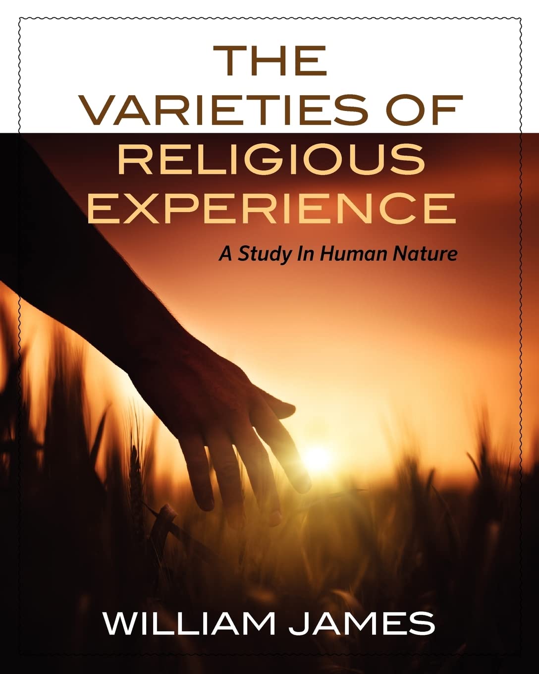 The Varieties Of Religious Experience: A Study In Human Nature,Used