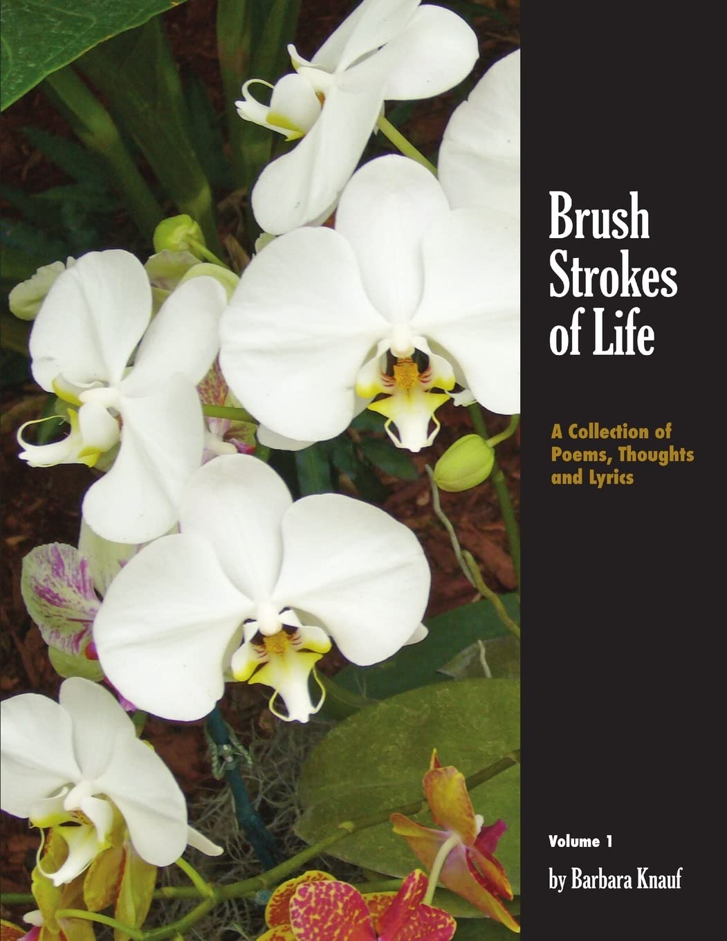 Brush Strokes Of Life,Used